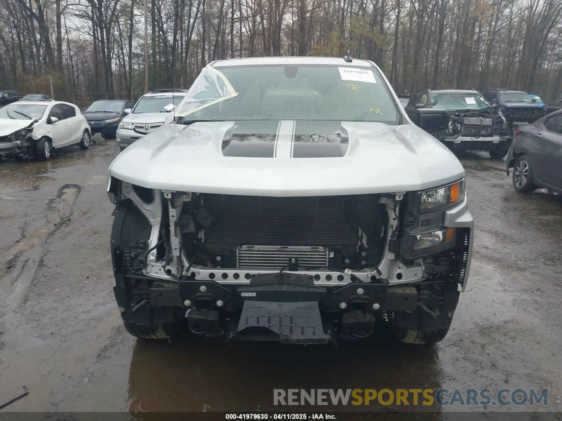 13 fotografías del automóvil dañado 1GCPYBEK0MZ291209 CHEVROLET SILVERADO 1500 2021