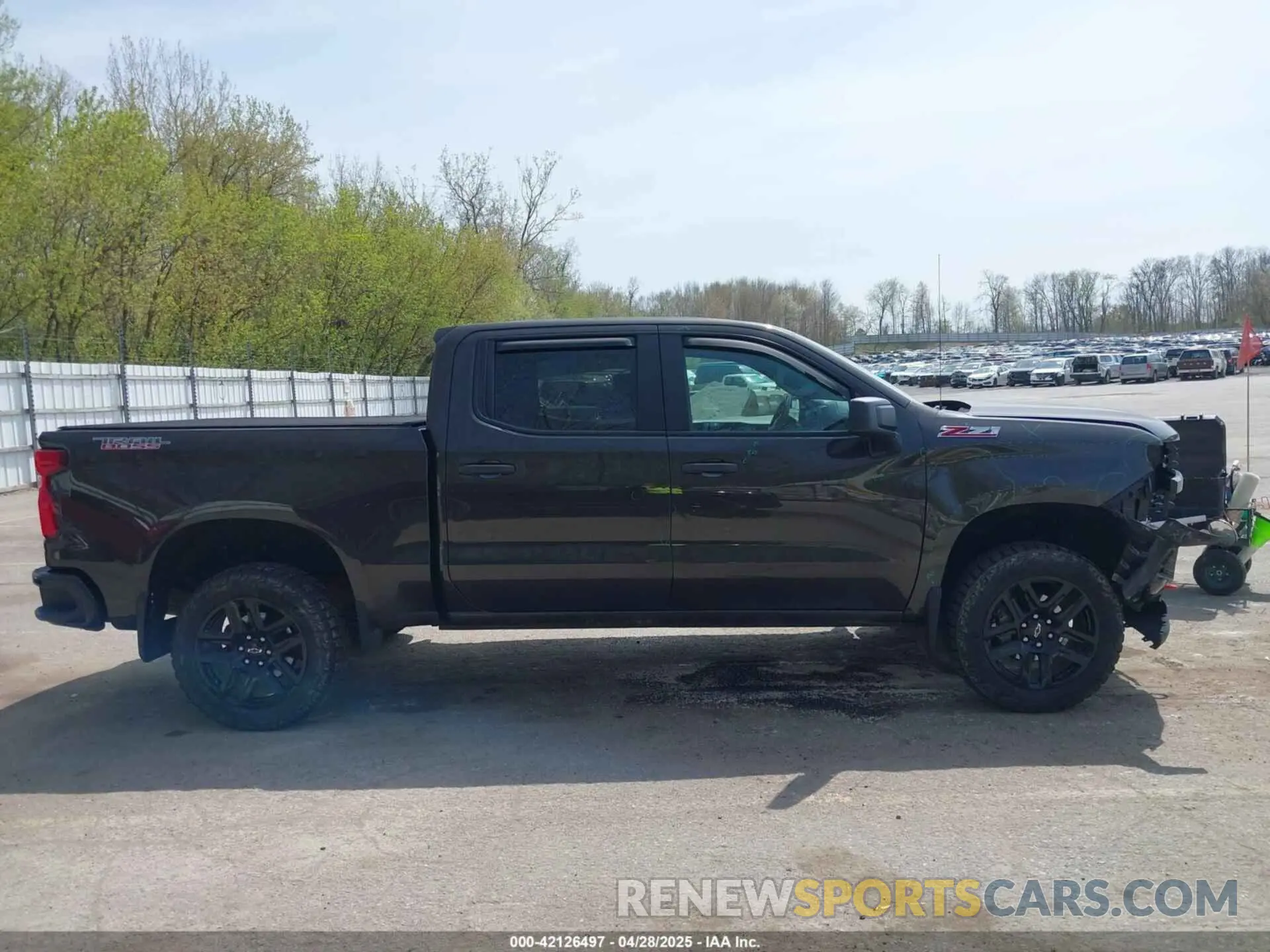 13 fotografías del automóvil dañado 1GCPYCEF1MZ271205 CHEVROLET SILVERADO 1500 2021
