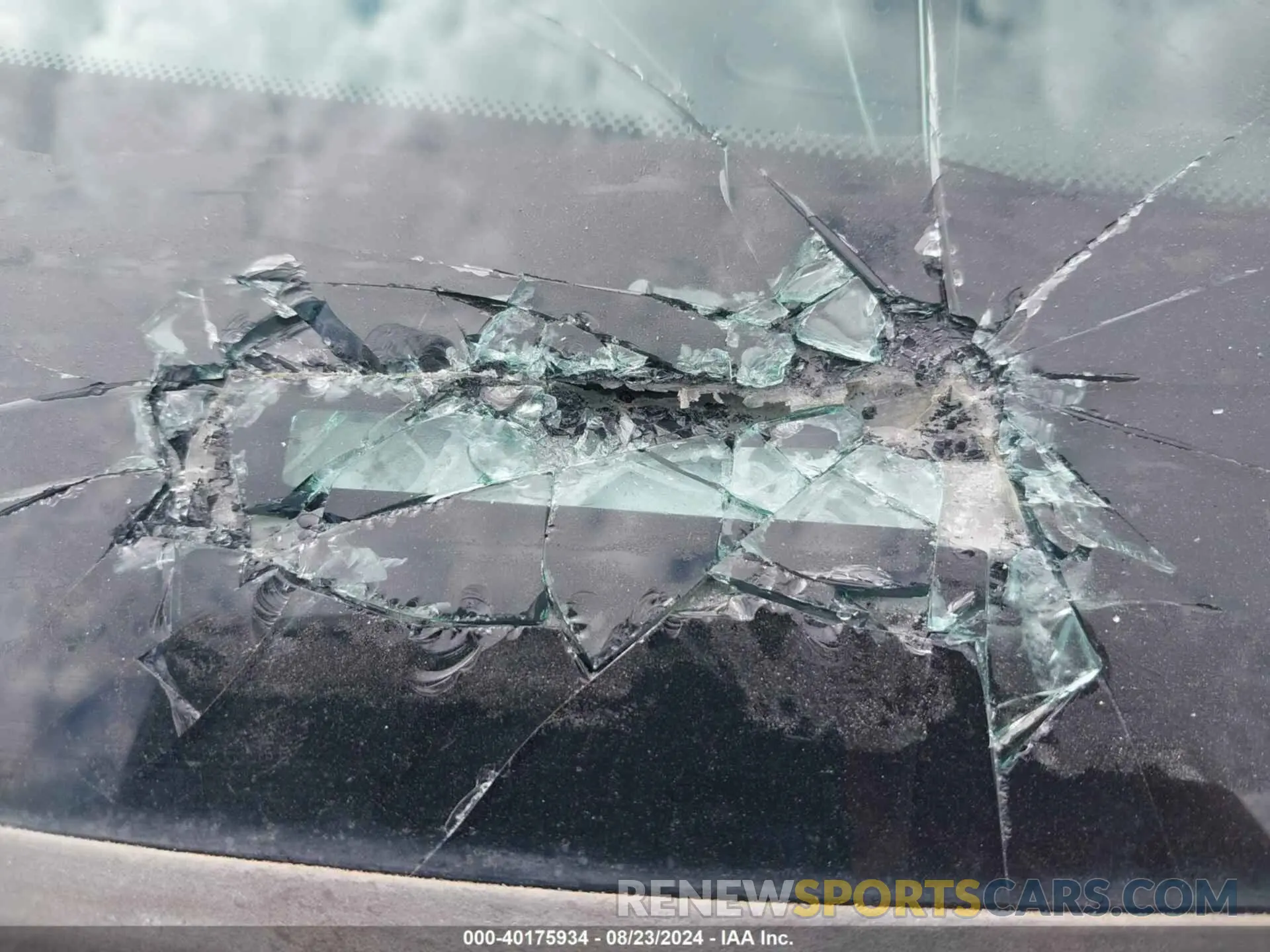 9 fotografías del automóvil dañado 1GCUYGED1MZ332125 CHEVROLET SILVERADO 1500 2021