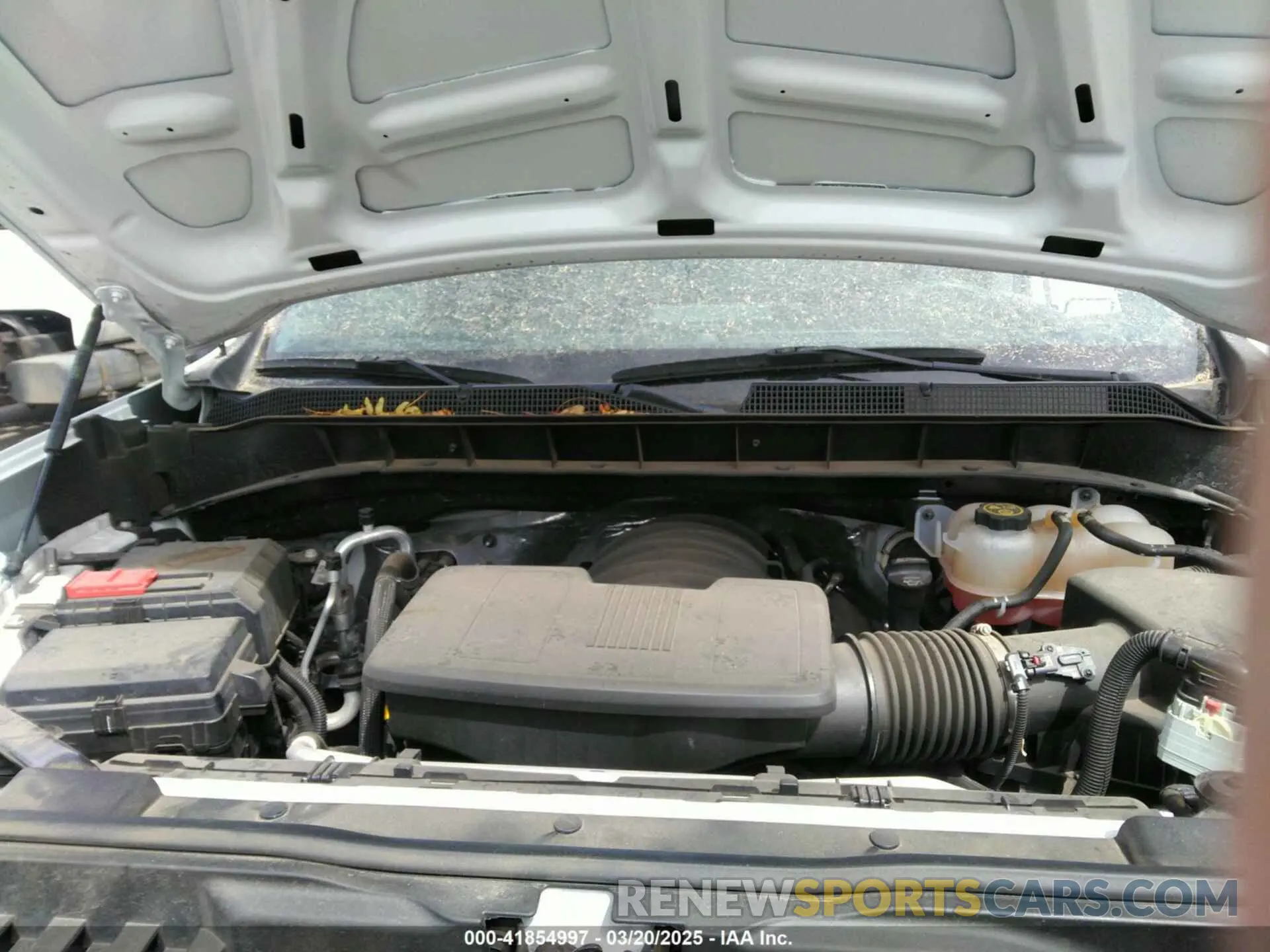 10 fotografías del automóvil dañado 1GCRDAED9PZ297966 CHEVROLET SILVERADO 1500 2023