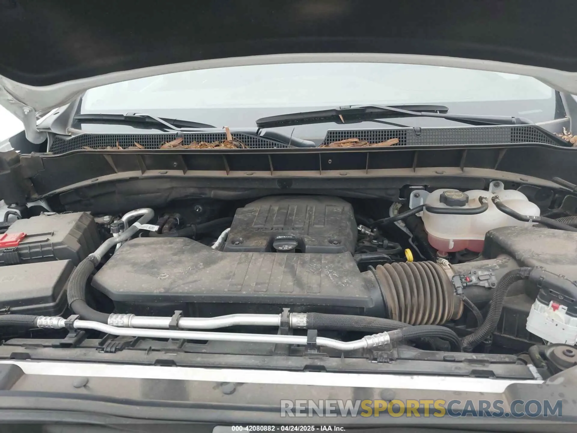 10 fotografías del automóvil dañado 1GCPABEKXRZ297160 CHEVROLET SILVERADO 1500 2024
