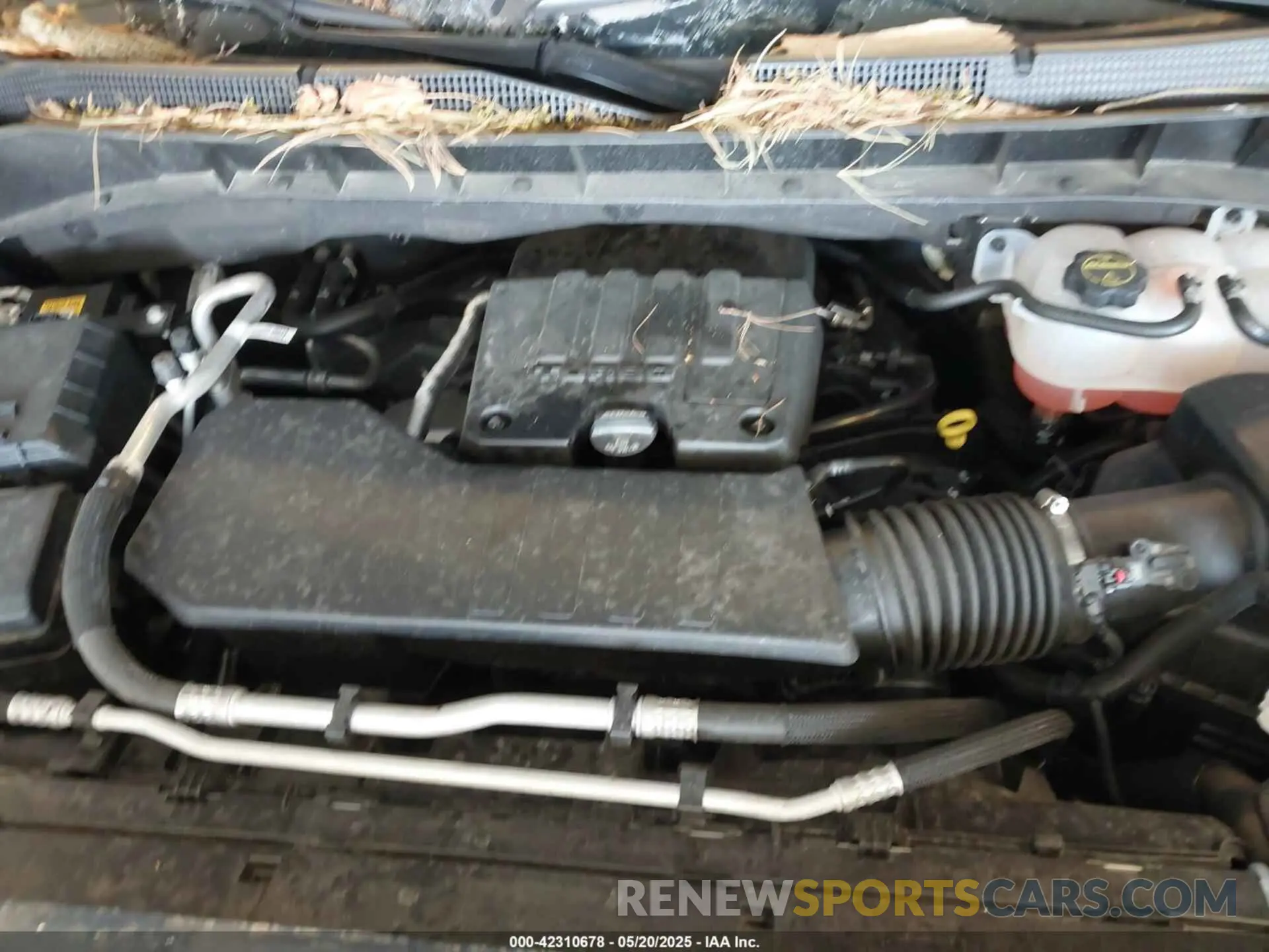 10 fotografías del automóvil dañado 1GCPDKEK0RZ294212 CHEVROLET SILVERADO 1500 2024