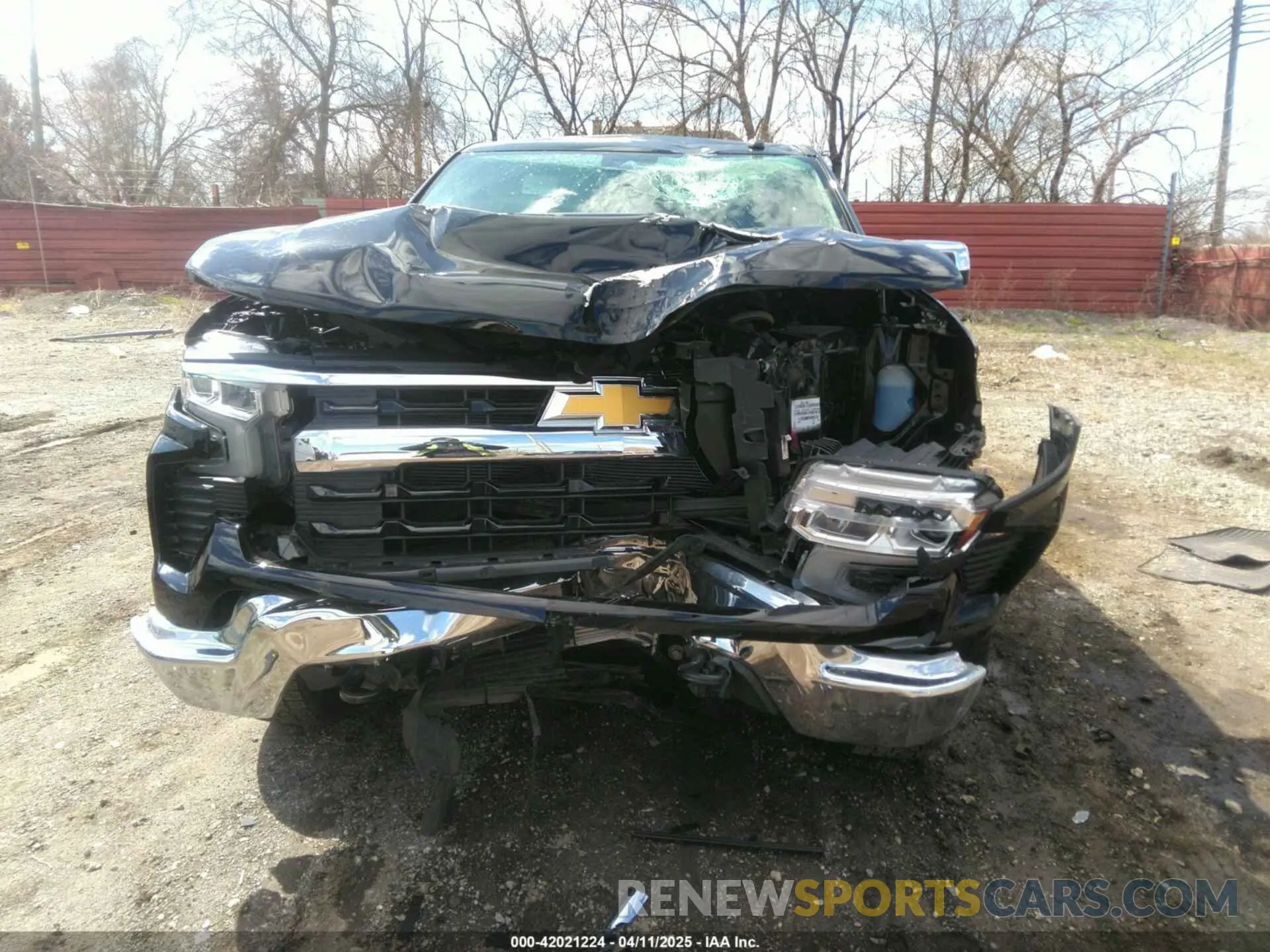 12 fotografías del automóvil dañado 1GCPDKEK2RZ219964 CHEVROLET SILVERADO 1500 2024