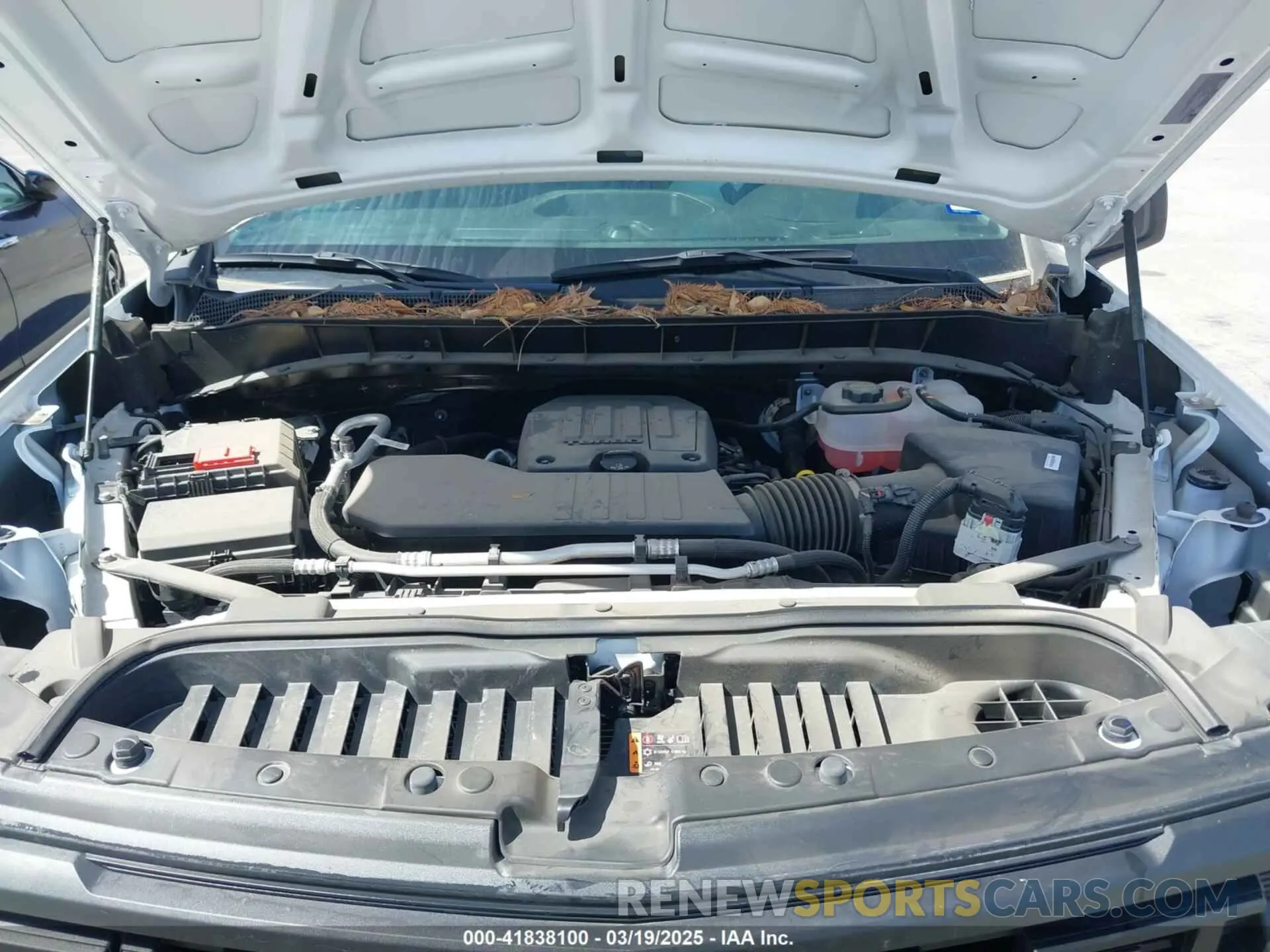 10 fotografías del automóvil dañado 3GCNAAEKXRG323886 CHEVROLET SILVERADO 1500 2024