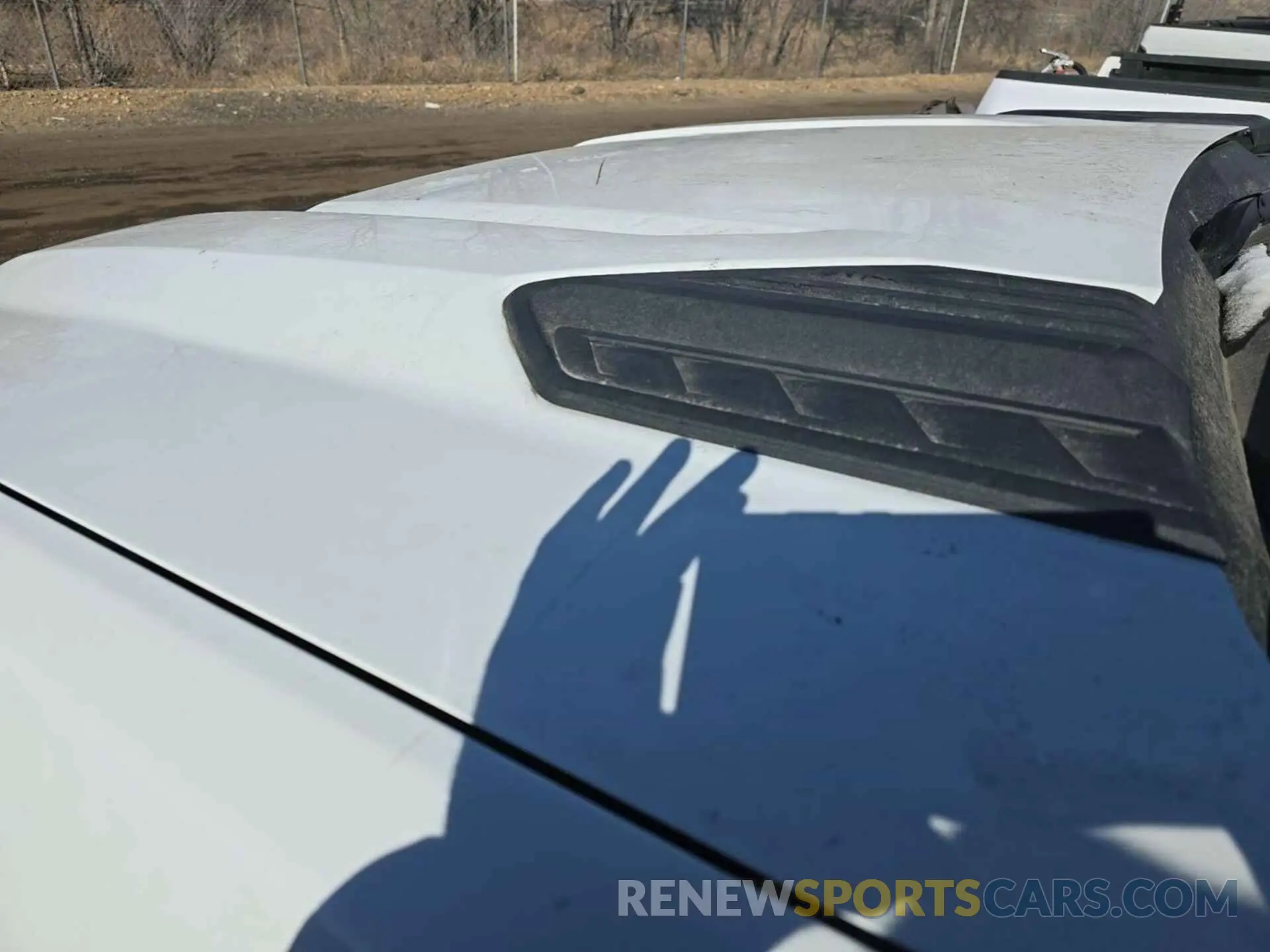 12 fotografías del automóvil dañado 1GC5YLE75MF102189 CHEVROLET SILVERADO 2021