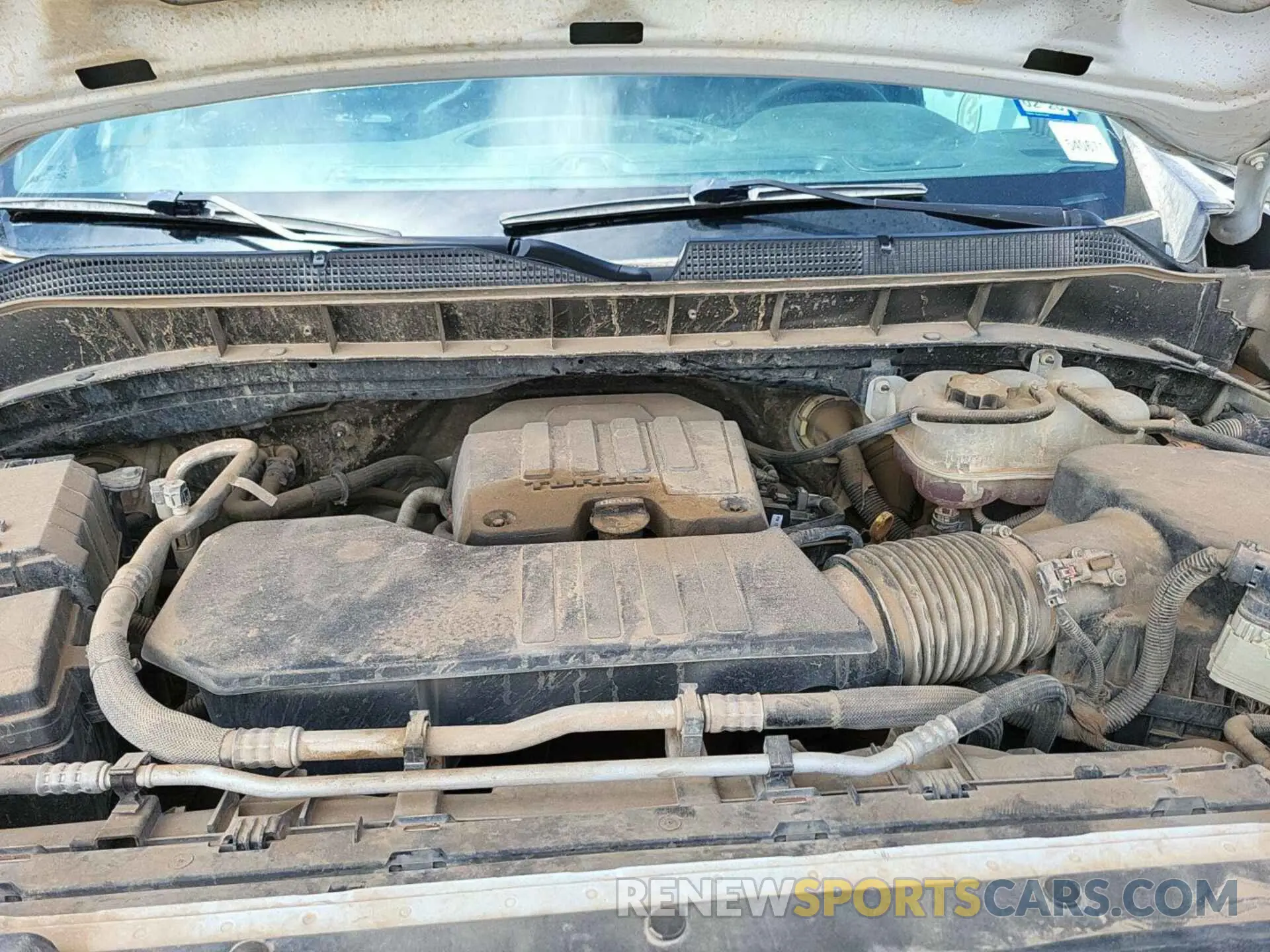 7 fotografías del automóvil dañado 3GCPDAEK4PG112034 CHEVROLET SILVERADO 2023