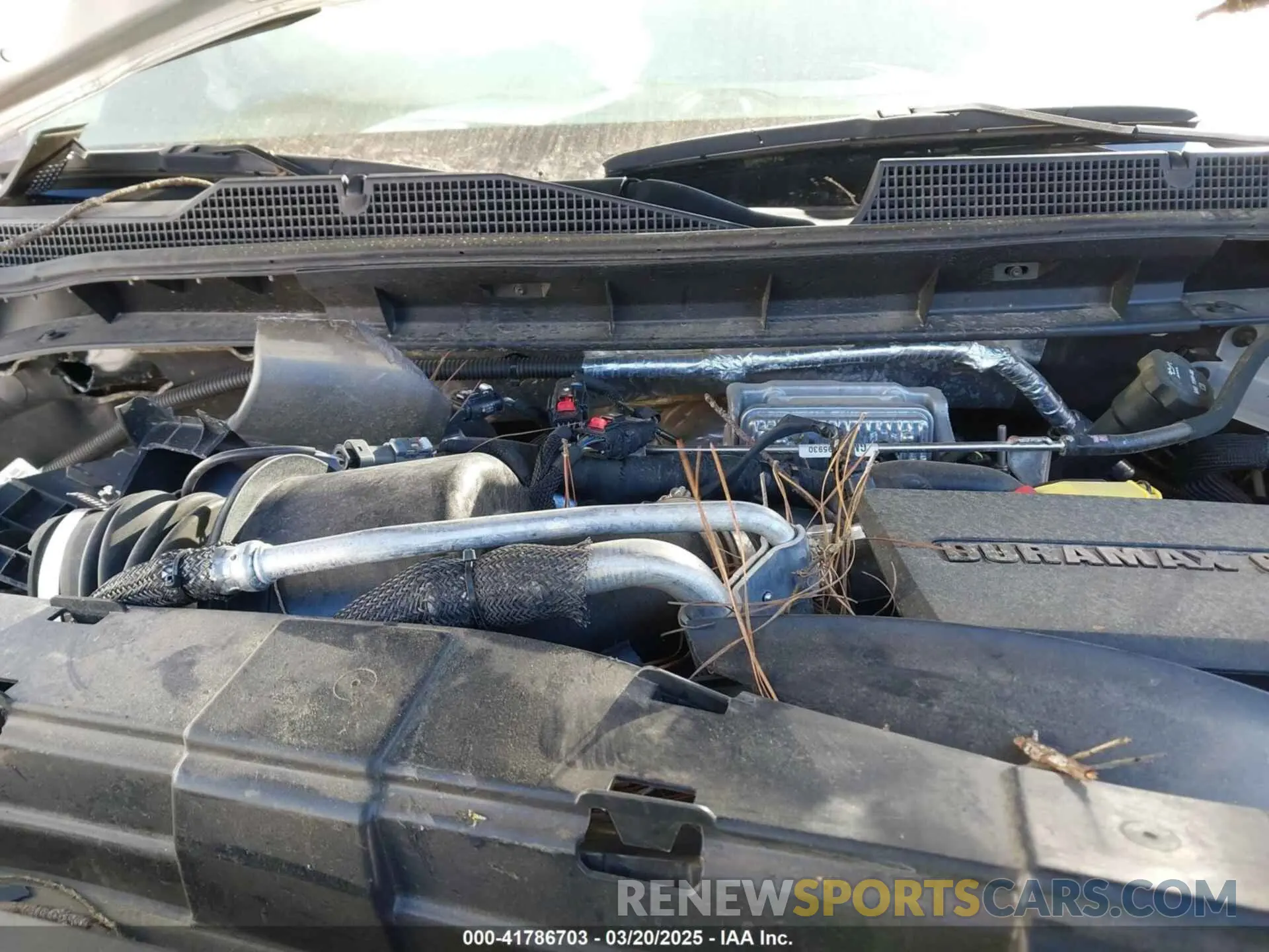 9 fotografías del automóvil dañado 2GC4YPEY5N1232574 CHEVROLET SILVERADO 2500HD 2022