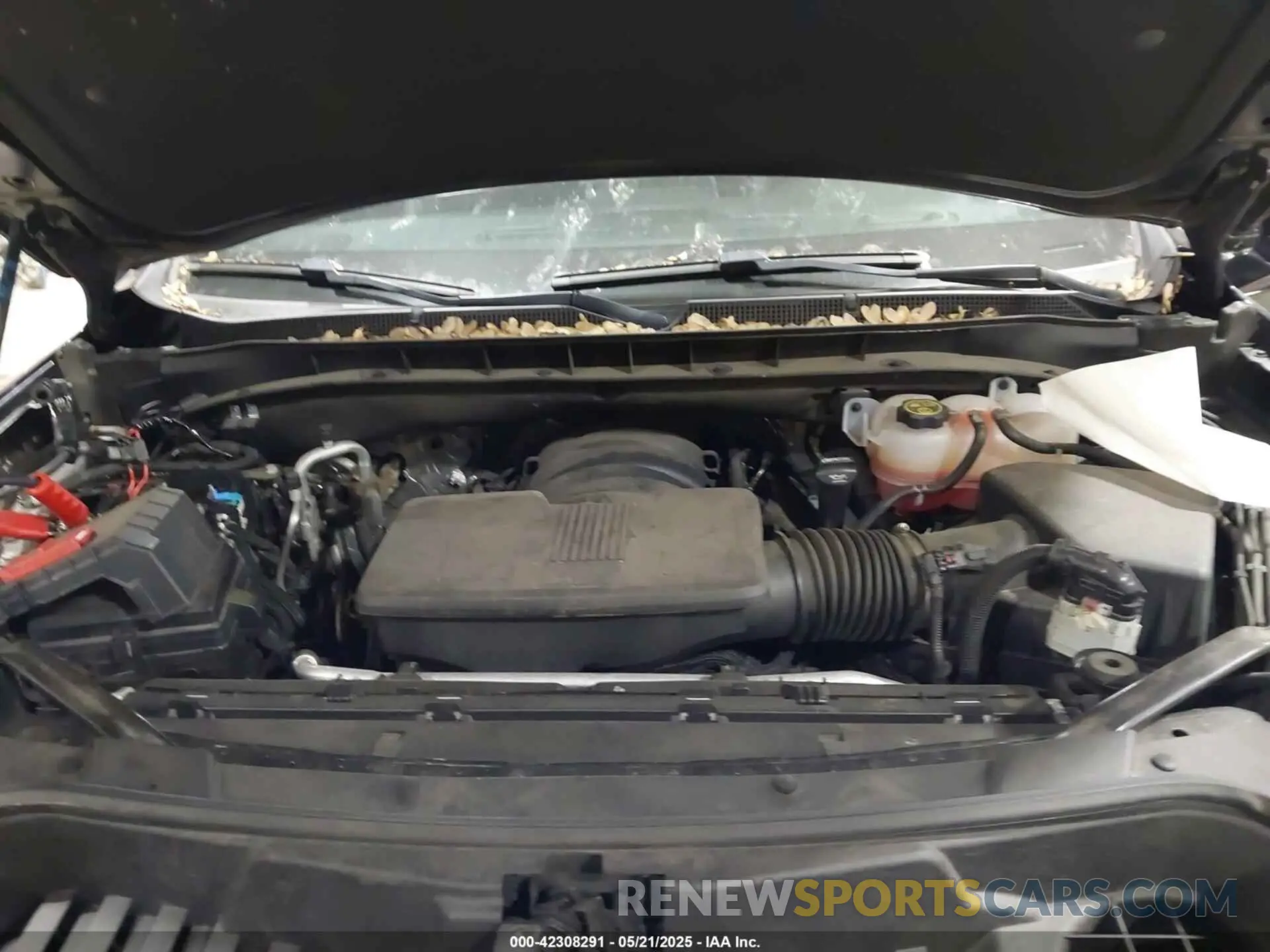 10 fotografías del automóvil dañado 1GNSKCKD0PR207313 CHEVROLET SUBURBAN 2023