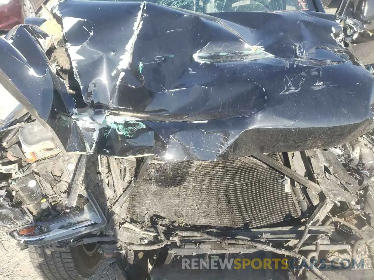 12 fotografías del automóvil dañado 1GNSKBKC4LR236938 CHEVROLET TAHOE 2020
