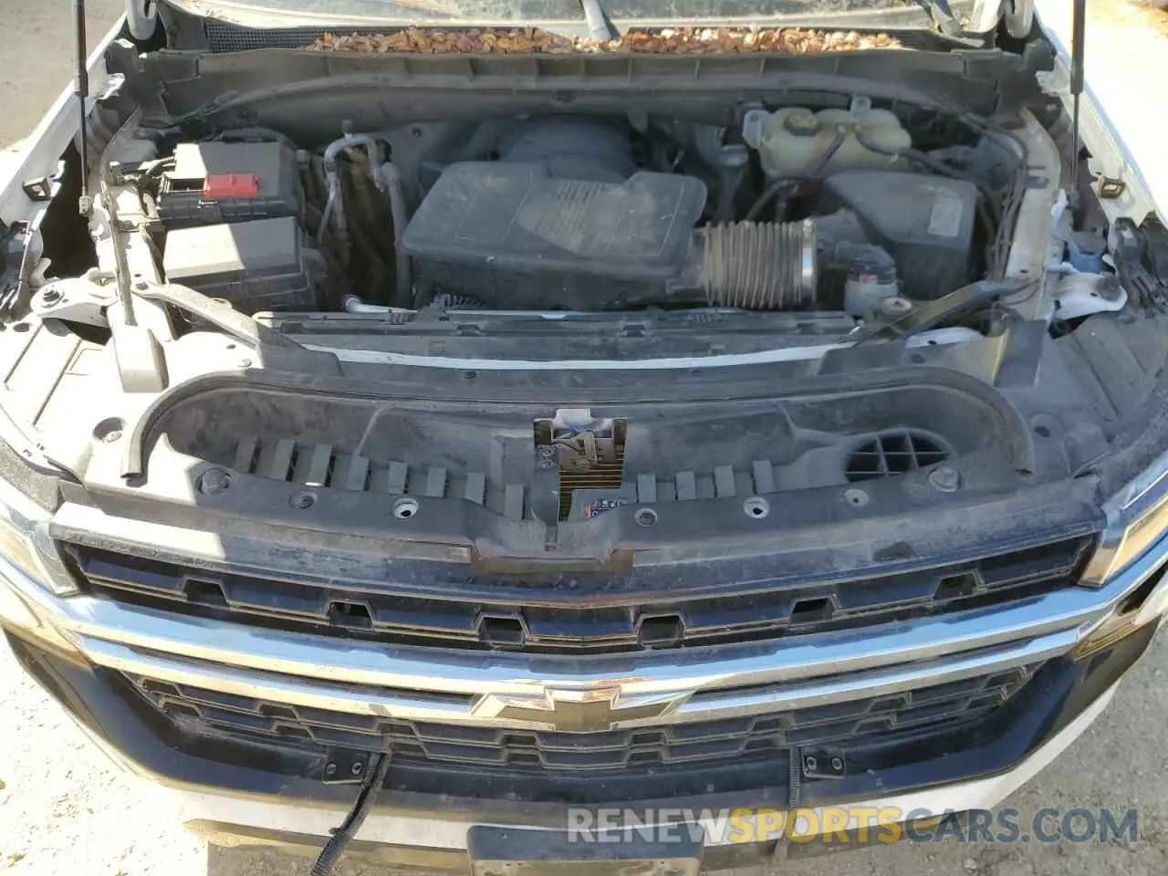 11 fotografías del automóvil dañado 1GBSCLED0MR297435 CHEVROLET TAHOE 2021