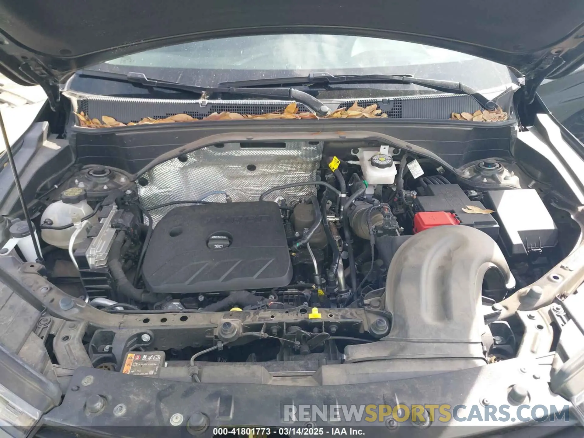 10 fotografías del automóvil dañado KL79MPSL0PB174433 CHEVROLET TRAILBLAZER 2023