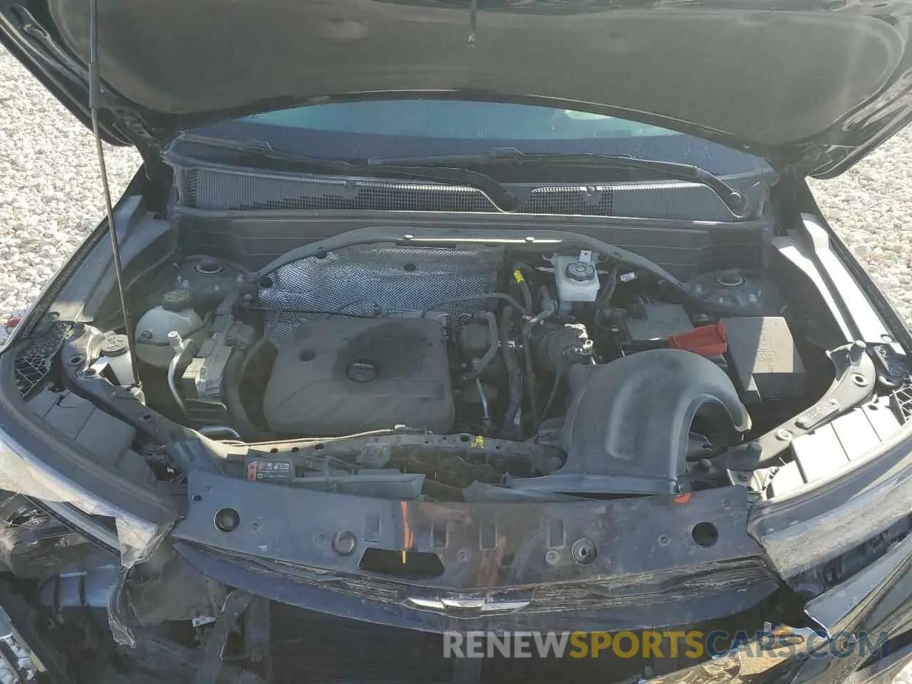 12 fotografías del automóvil dañado KL79MTSL7NB035695 CHEVROLET TRAILBLZR 2022
