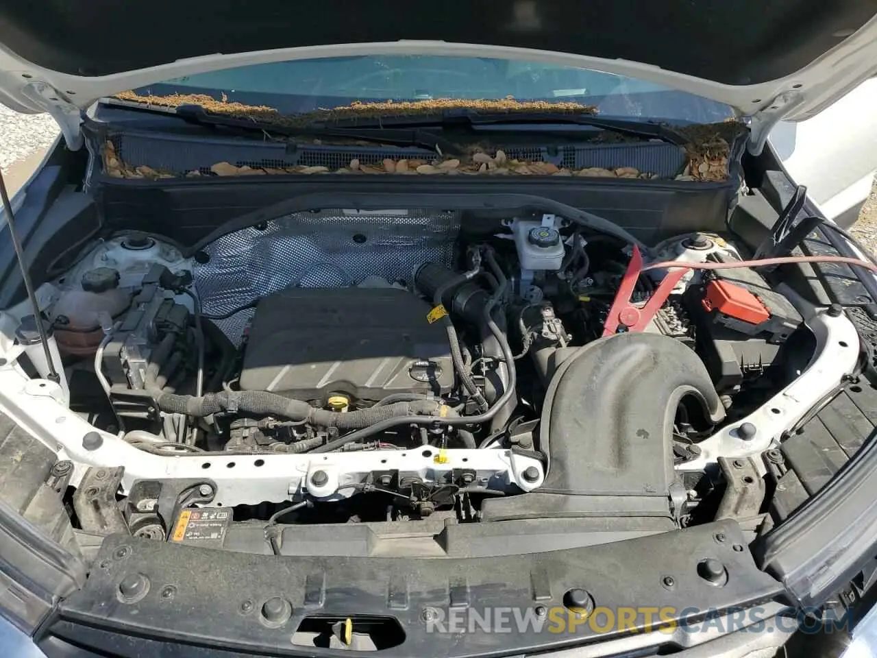 13 fotografías del automóvil dañado KL79MMS2XPB009494 CHEVROLET TRAILBLZR 2023