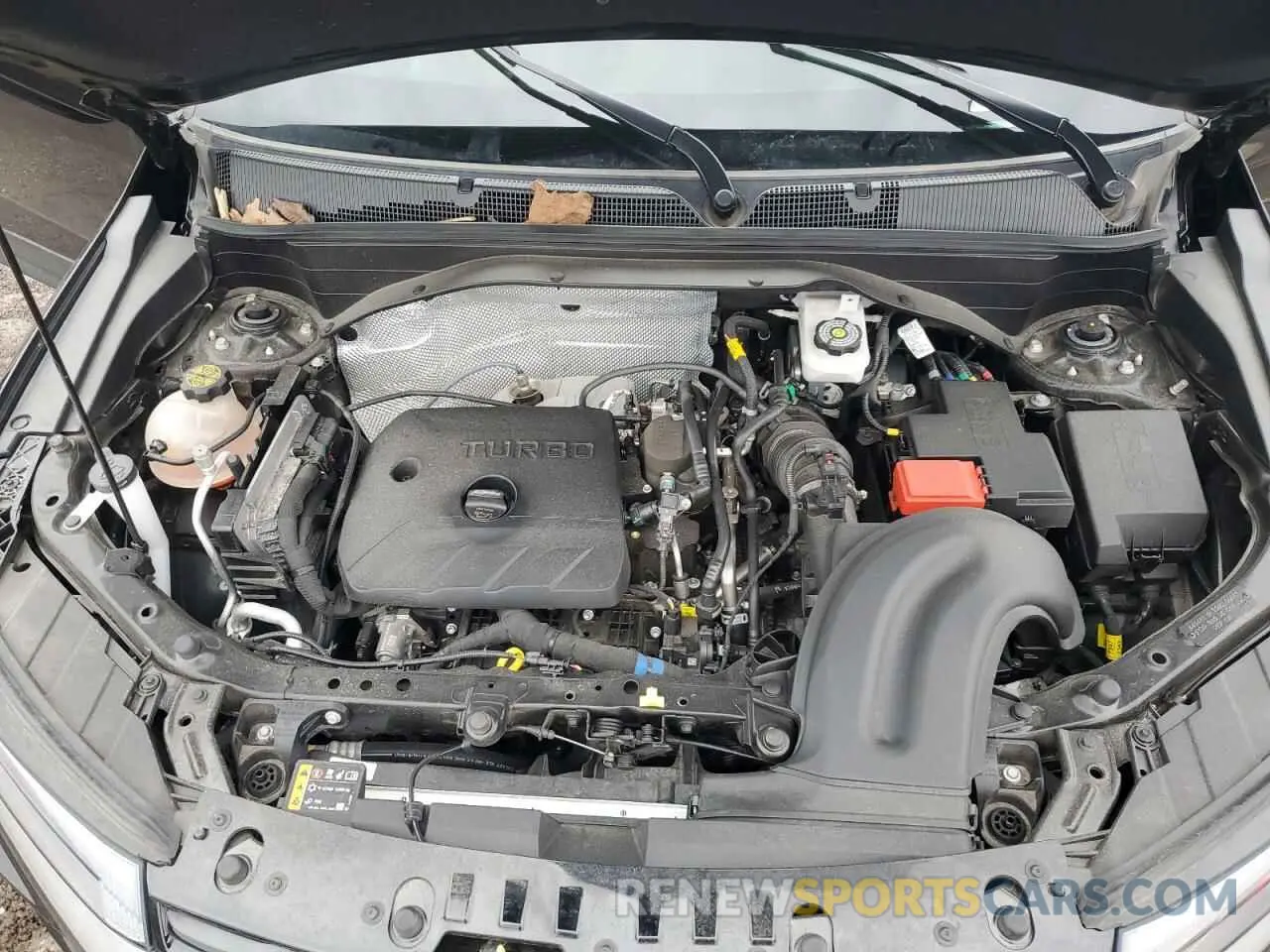 13 fotografías del automóvil dañado KL79MUSL0RB104786 CHEVROLET TRAILBLZR 2024