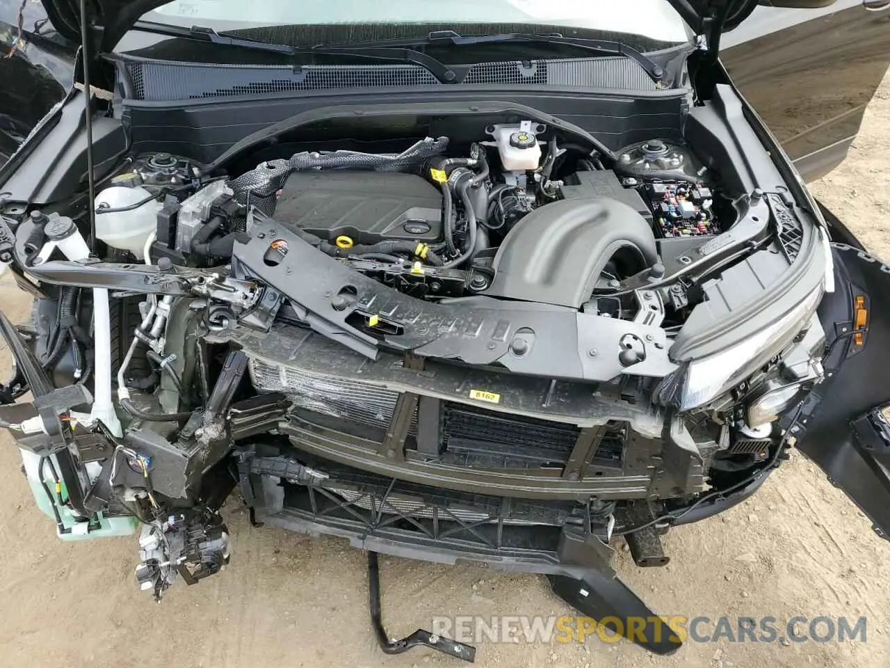 12 fotografías del automóvil dañado KL79MPSP8SB170223 CHEVROLET TRAILBLZR 2025
