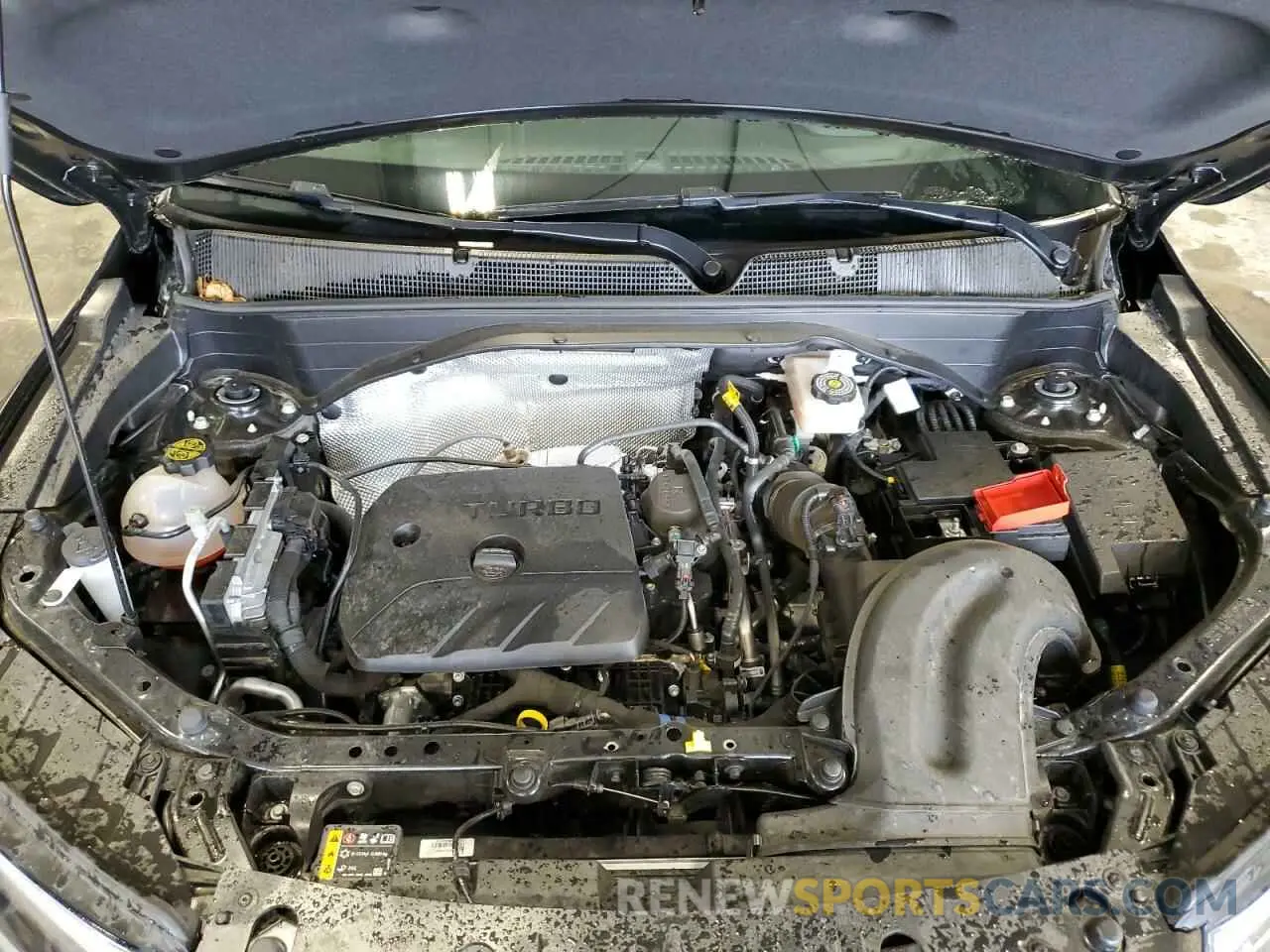 12 fotografías del automóvil dañado KL79MRSL5SB041980 CHEVROLET TRAILBLZR 2025