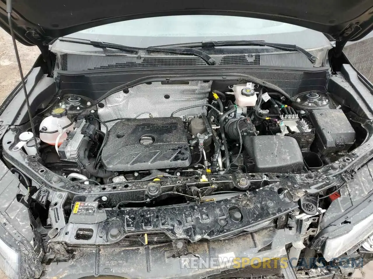 12 fotografías del automóvil dañado KL79MTSL0SB067965 CHEVROLET TRAILBLZR 2025