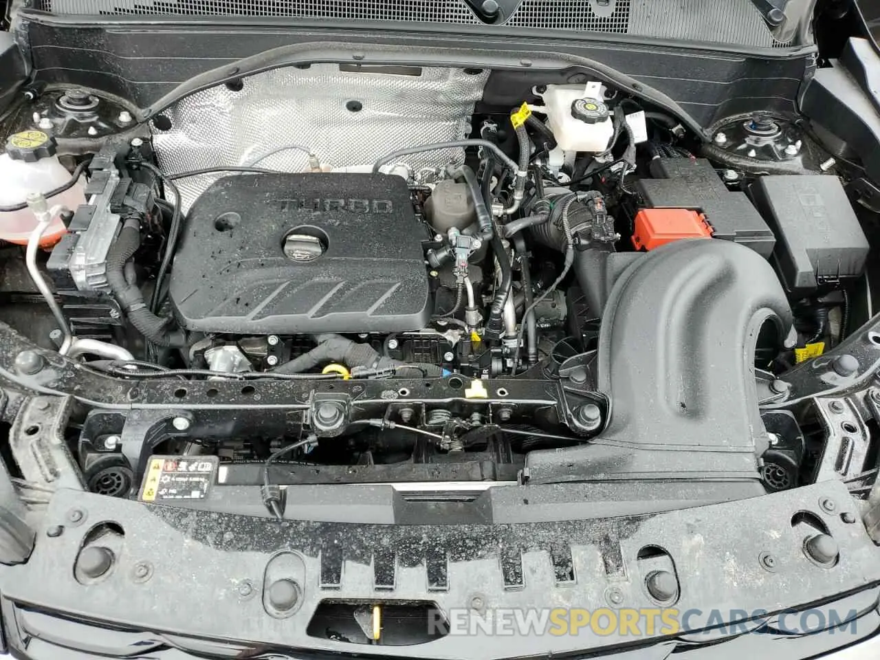 13 fotografías del automóvil dañado KL79MUSL6SB084257 CHEVROLET TRAILBLZR 2025