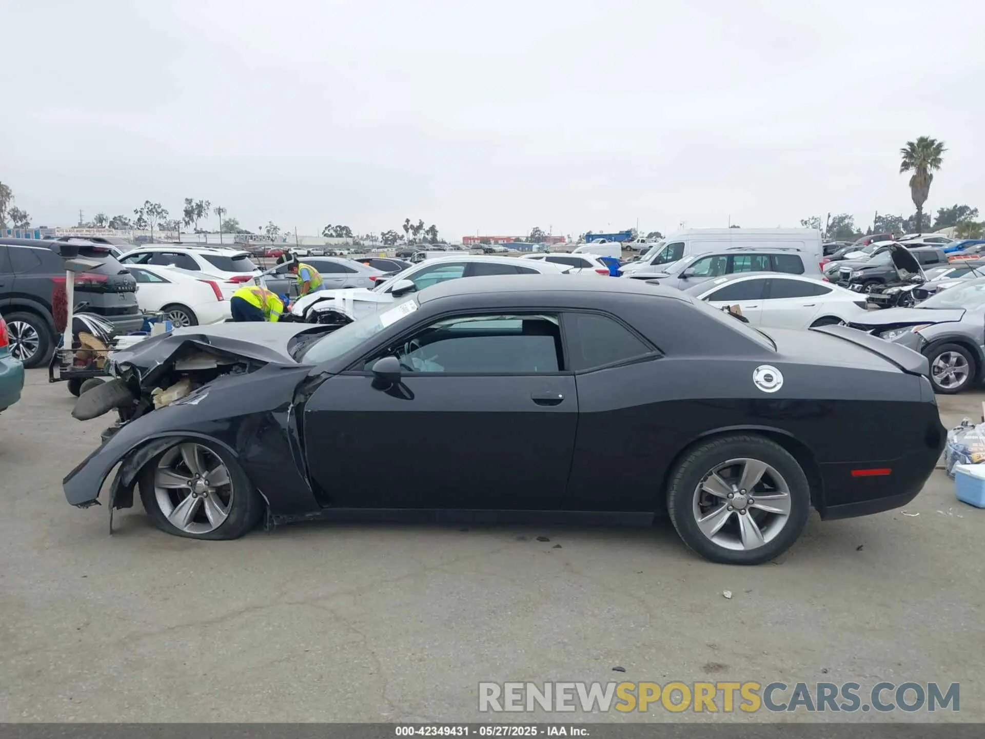 14 fotografías del automóvil dañado 2C3CDZAG2KH701594 DODGE CHALLENGER 2019
