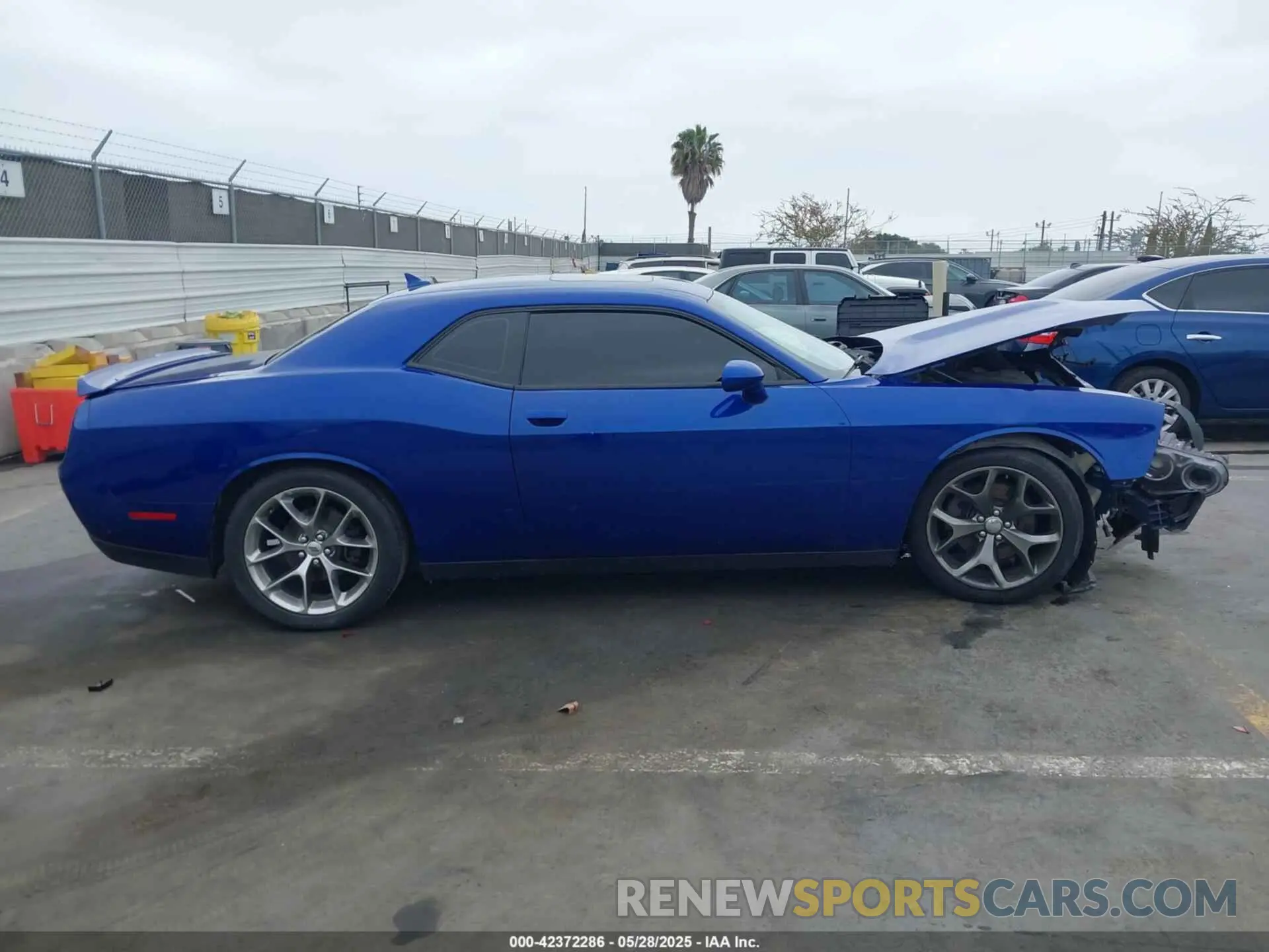 14 fotografías del automóvil dañado 2C3CDZJG2KH756398 DODGE CHALLENGER 2019