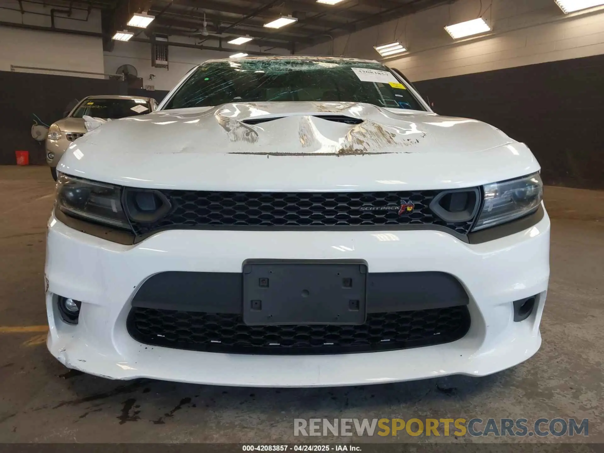 12 fotografías del automóvil dañado 2C3CDXGJ4KH674406 DODGE CHARGER 2019