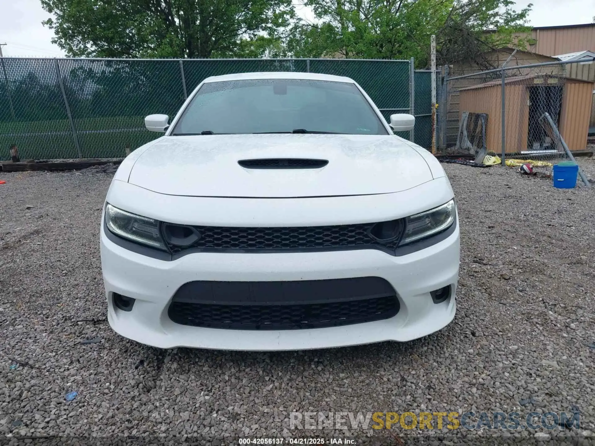 12 fotografías del automóvil dañado 2C3CDXGJ9KH691136 DODGE CHARGER 2019
