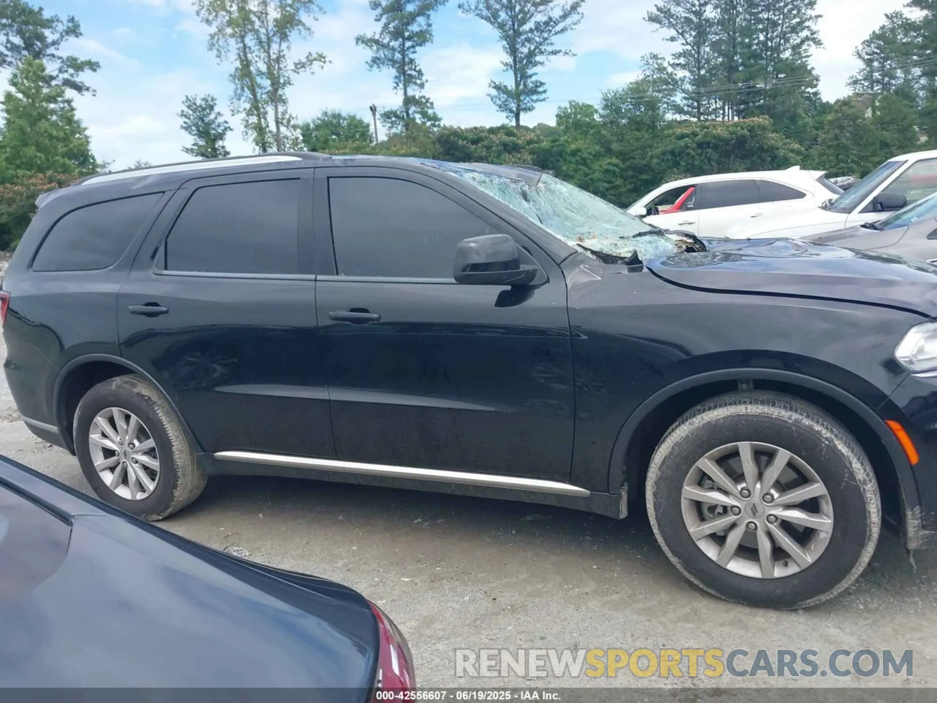 13 fotografías del automóvil dañado 1C4RDHAG9NC103056 DODGE DURANGO 2022