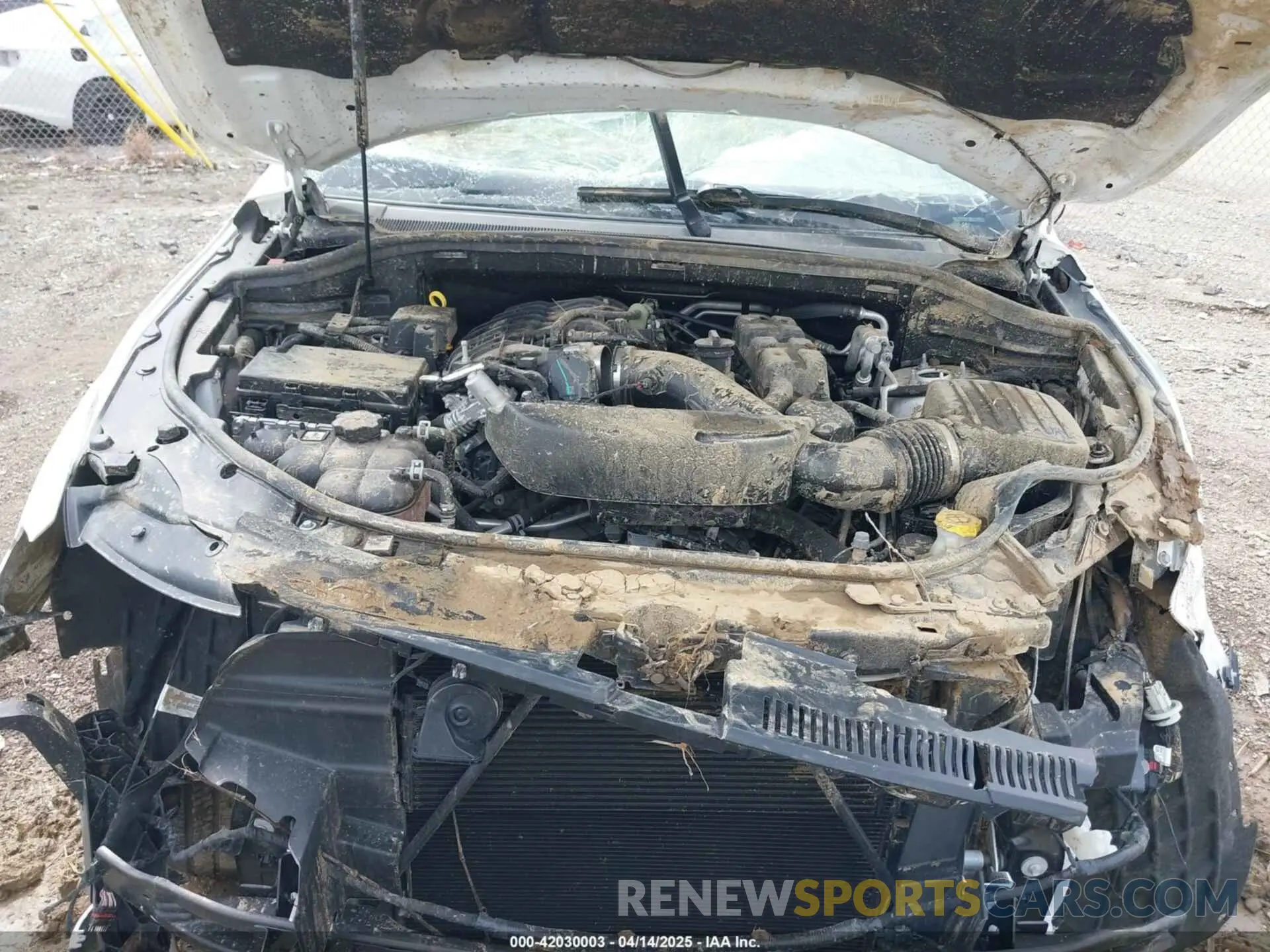 10 fotografías del automóvil dañado 1C4RDJDGXPC582271 DODGE DURANGO 2023