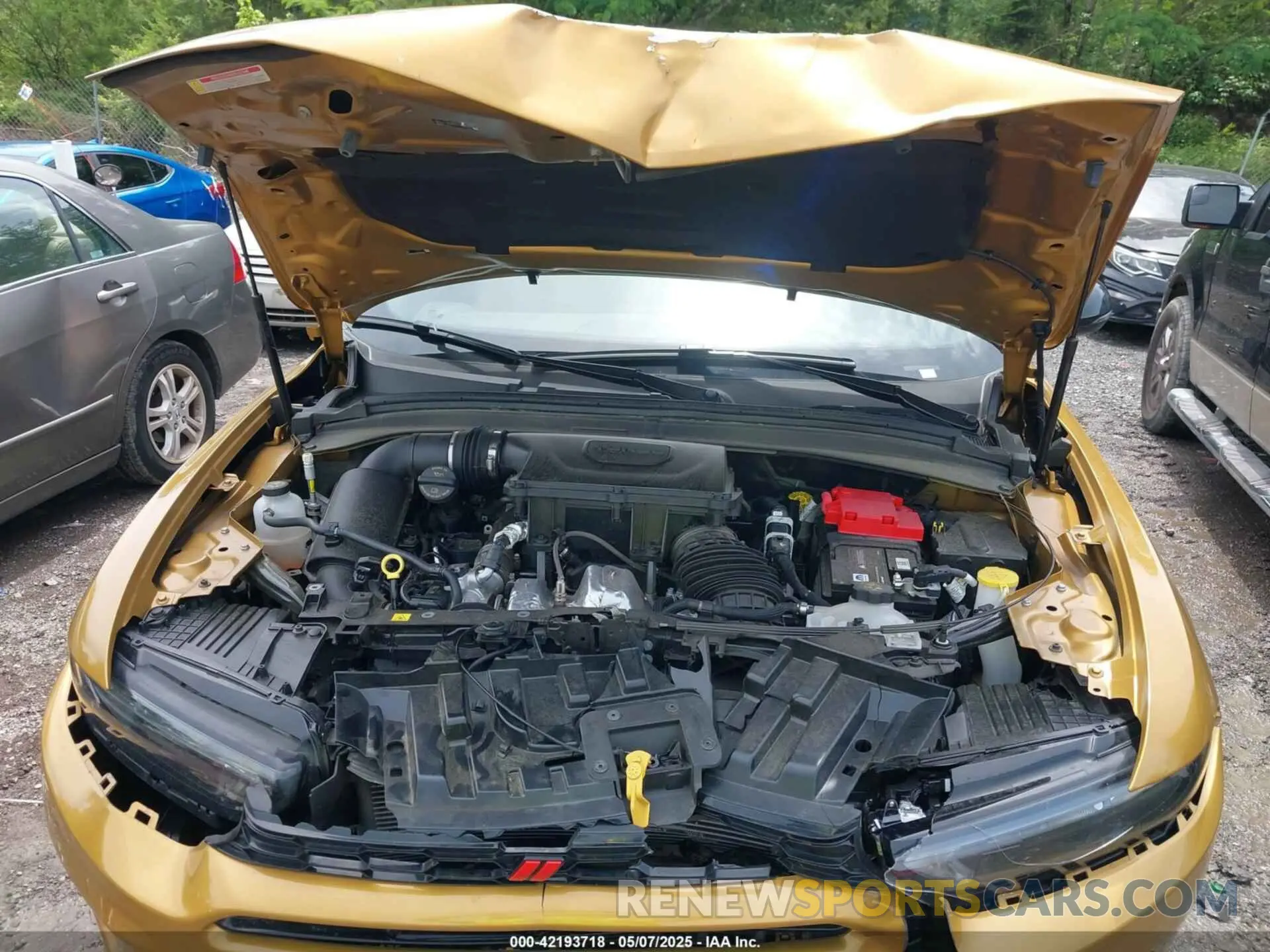 10 fotografías del automóvil dañado ZACNDFAN4R3A41186 DODGE HORNET 2024