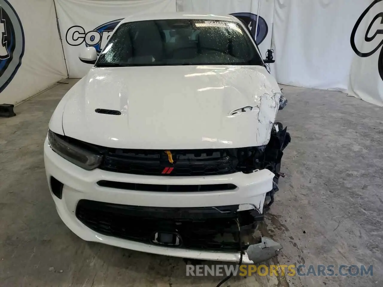 5 fotografías del automóvil dañado ZACPDFCW1R3A29978 DODGE HORNET R/T 2024