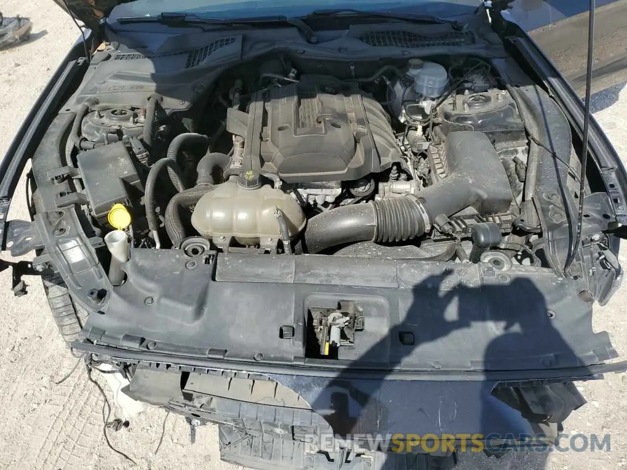 11 fotografías del automóvil dañado 1FA6P8TH0K5168688 FORD ALL Models 2019