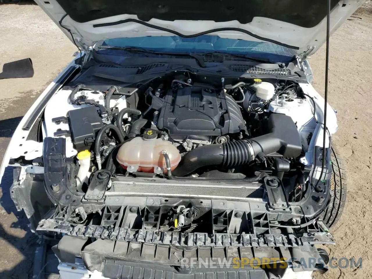 11 fotografías del automóvil dañado 1FA6P8TH4K5173926 FORD ALL Models 2019