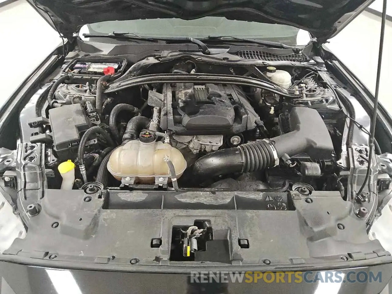 11 fotografías del automóvil dañado 1FA6P8TH4K5174896 FORD ALL Models 2019