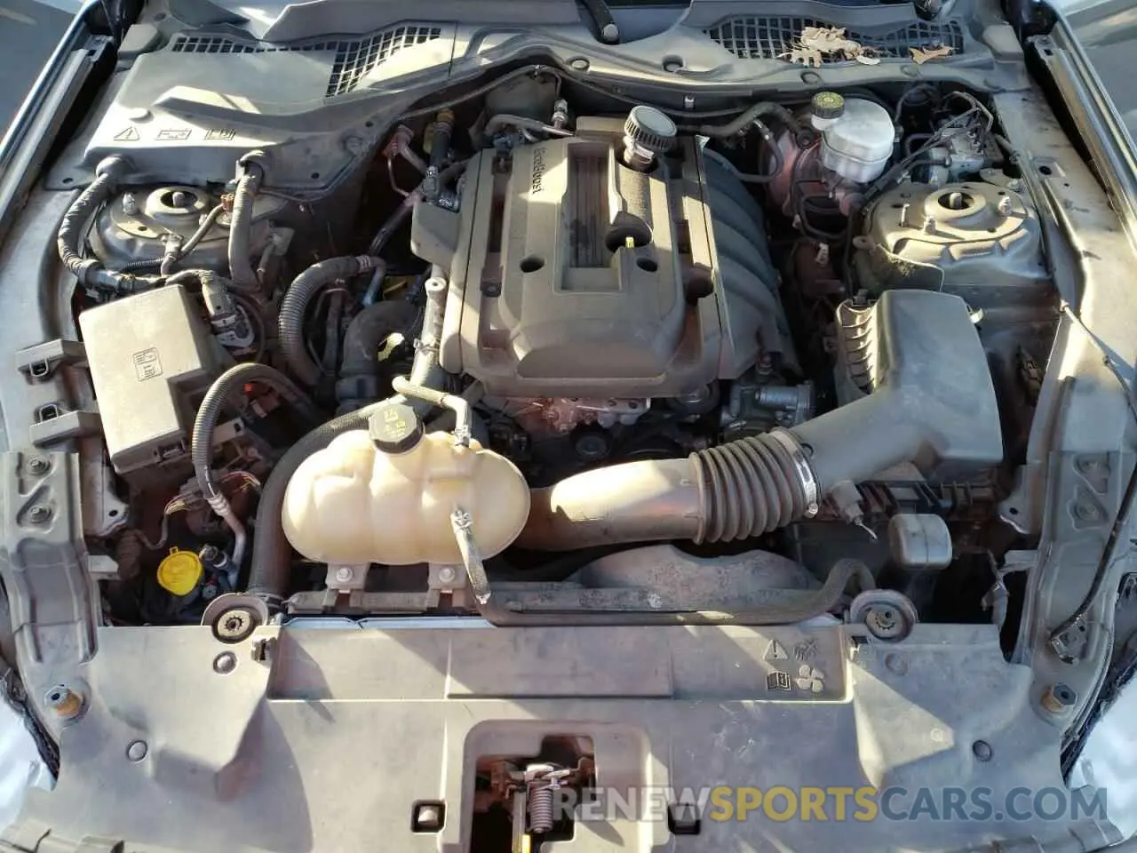 12 fotografías del automóvil dañado 1FA6P8TH5K5143267 FORD ALL Models 2019