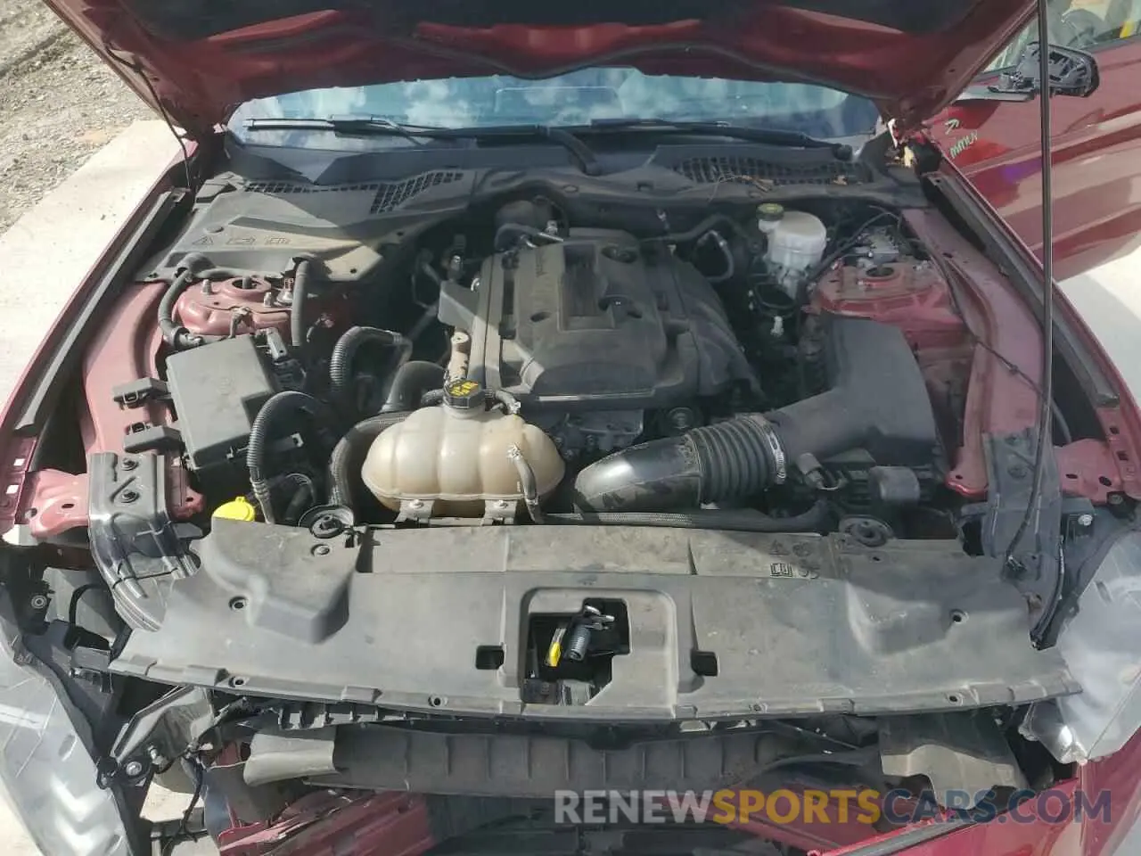 11 fotografías del automóvil dañado 1FA6P8TH5K5187303 FORD ALL Models 2019