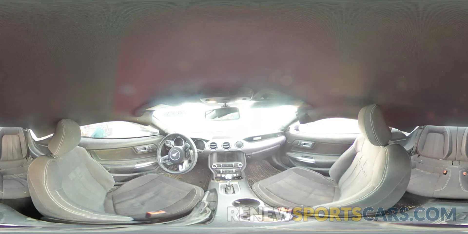 12 fotografías del automóvil dañado 1FA6P8TH7K5125501 FORD ALL Models 2019