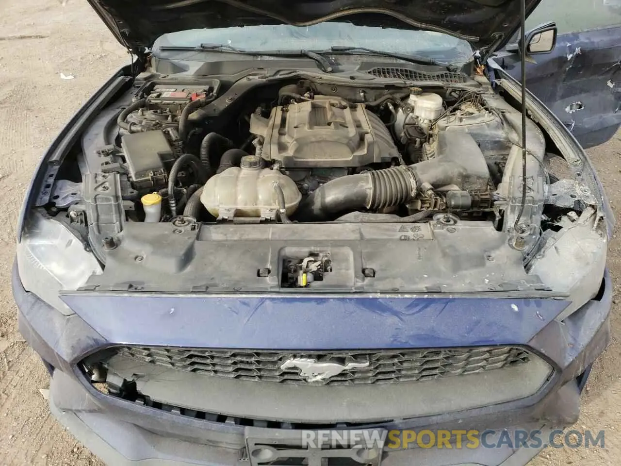 13 fotografías del automóvil dañado 1FA6P8TH7K5125501 FORD ALL Models 2019
