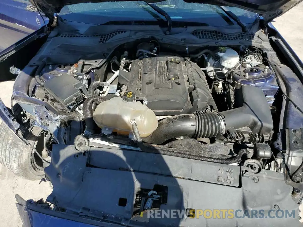 11 fotografías del automóvil dañado 1FA6P8TH8K5130433 FORD ALL Models 2019