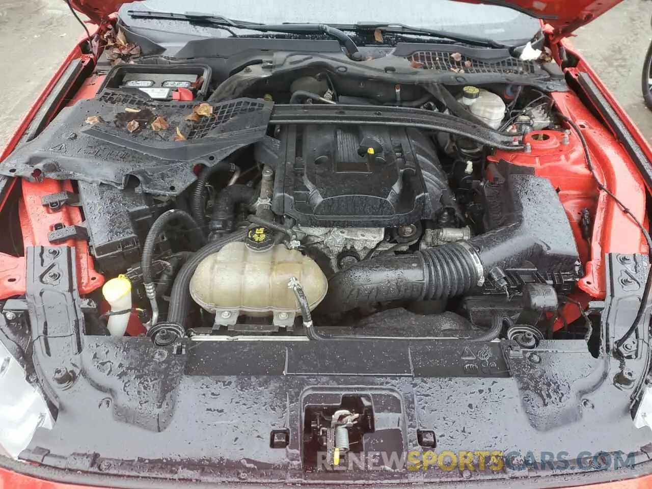 11 fotografías del automóvil dañado 1FA6P8TH9K5129744 FORD ALL Models 2019
