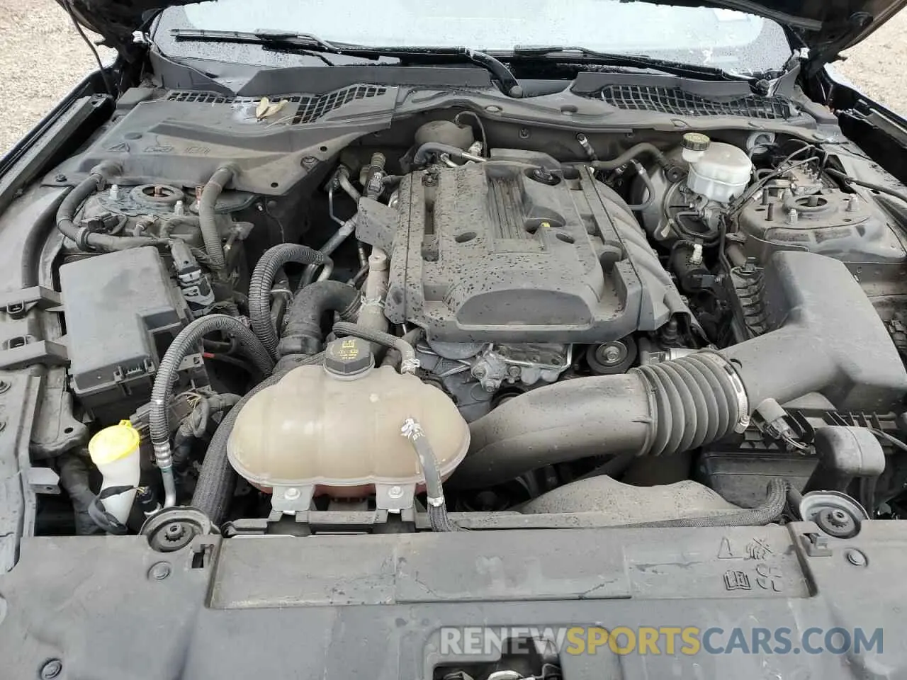 11 fotografías del automóvil dañado 1FA6P8TH9K5130232 FORD ALL Models 2019
