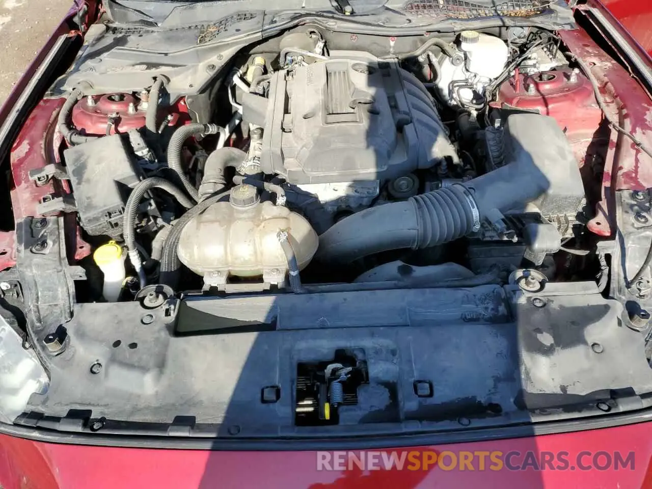11 fotografías del automóvil dañado 1FA6P8THXK5173655 FORD ALL Models 2019