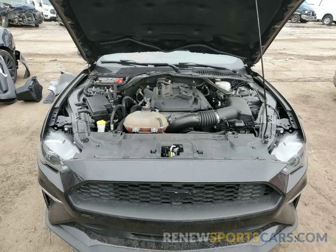 11 fotografías del automóvil dañado 1FATP8UH1K5196047 FORD ALL Models 2019