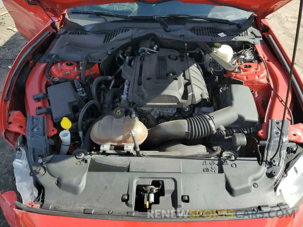 11 fotografías del automóvil dañado 1FATP8UH2K5109787 FORD ALL Models 2019