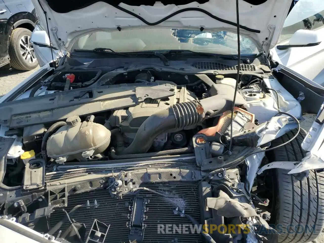 11 fotografías del automóvil dañado 1FATP8UH4K5149952 FORD ALL Models 2019