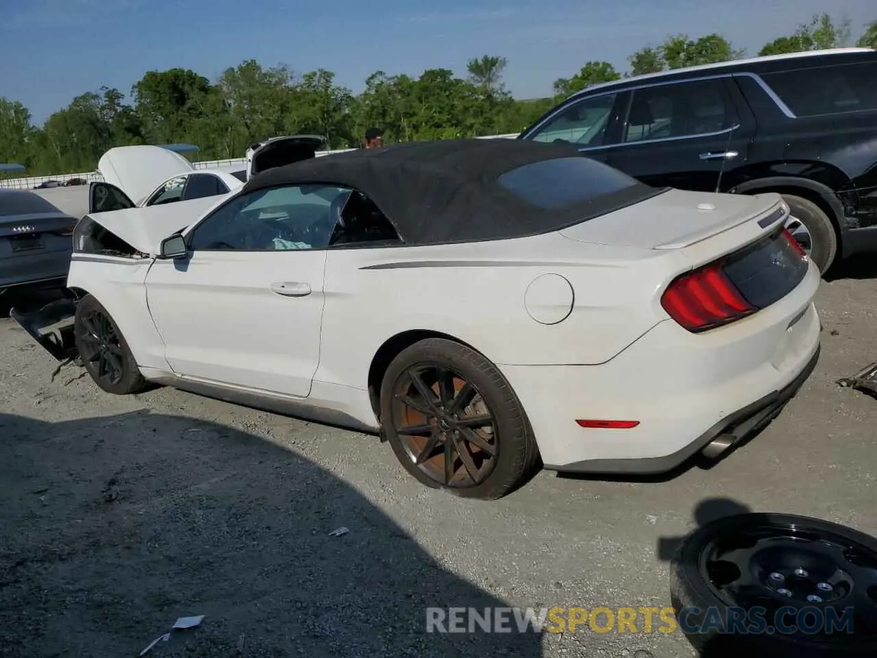 2 fotografías del automóvil dañado 1FATP8UH4K5149952 FORD ALL Models 2019