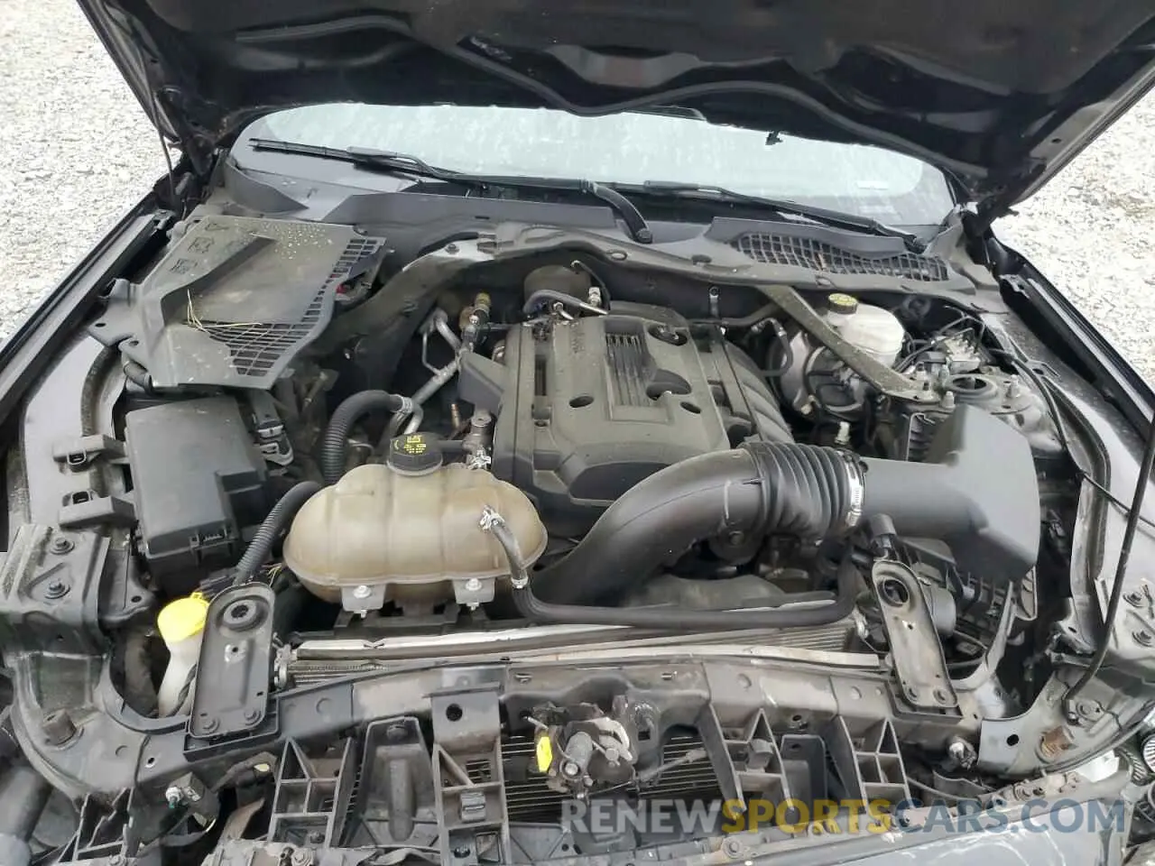 12 fotografías del automóvil dañado 1FATP8UH7K5109865 FORD ALL Models 2019