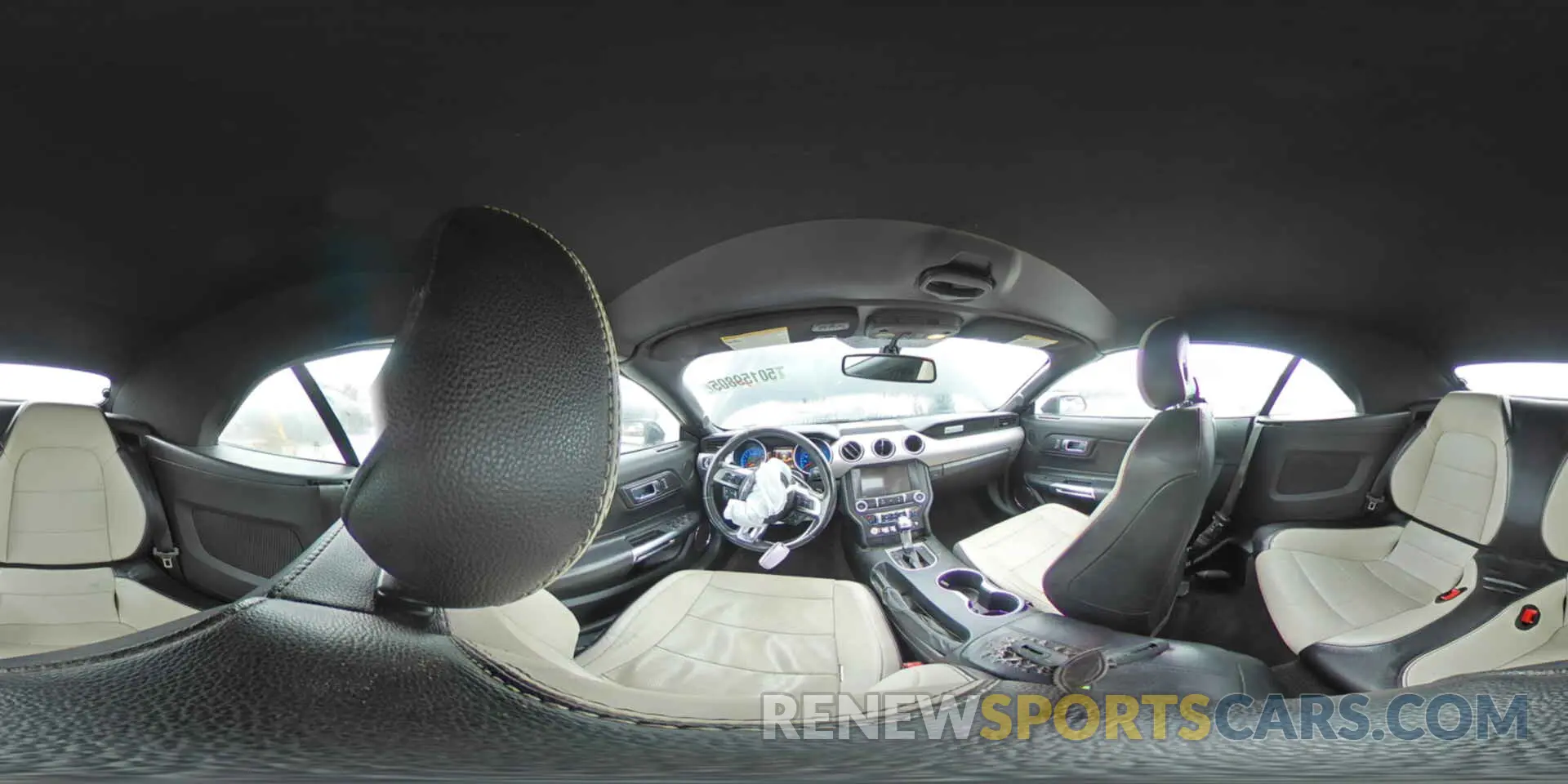 13 fotografías del automóvil dañado 1FATP8UH7K5109865 FORD ALL Models 2019