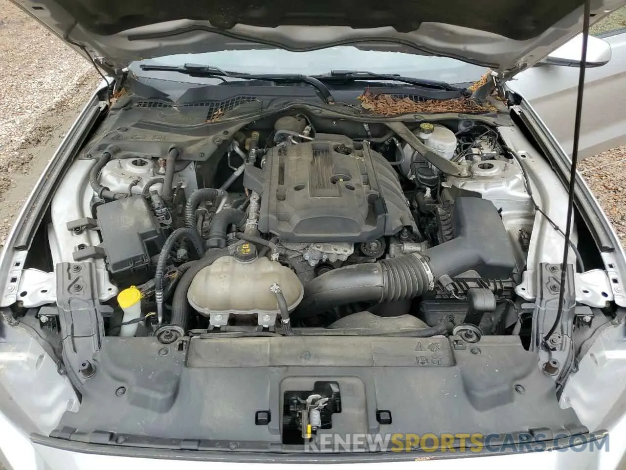 11 fotografías del automóvil dañado 1FATP8UH9K5115554 FORD ALL Models 2019