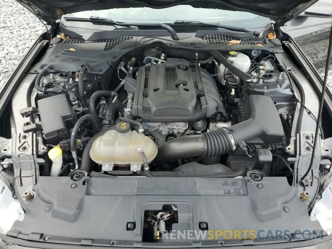 11 fotografías del automóvil dañado 1FATP8UHXK5129463 FORD ALL Models 2019