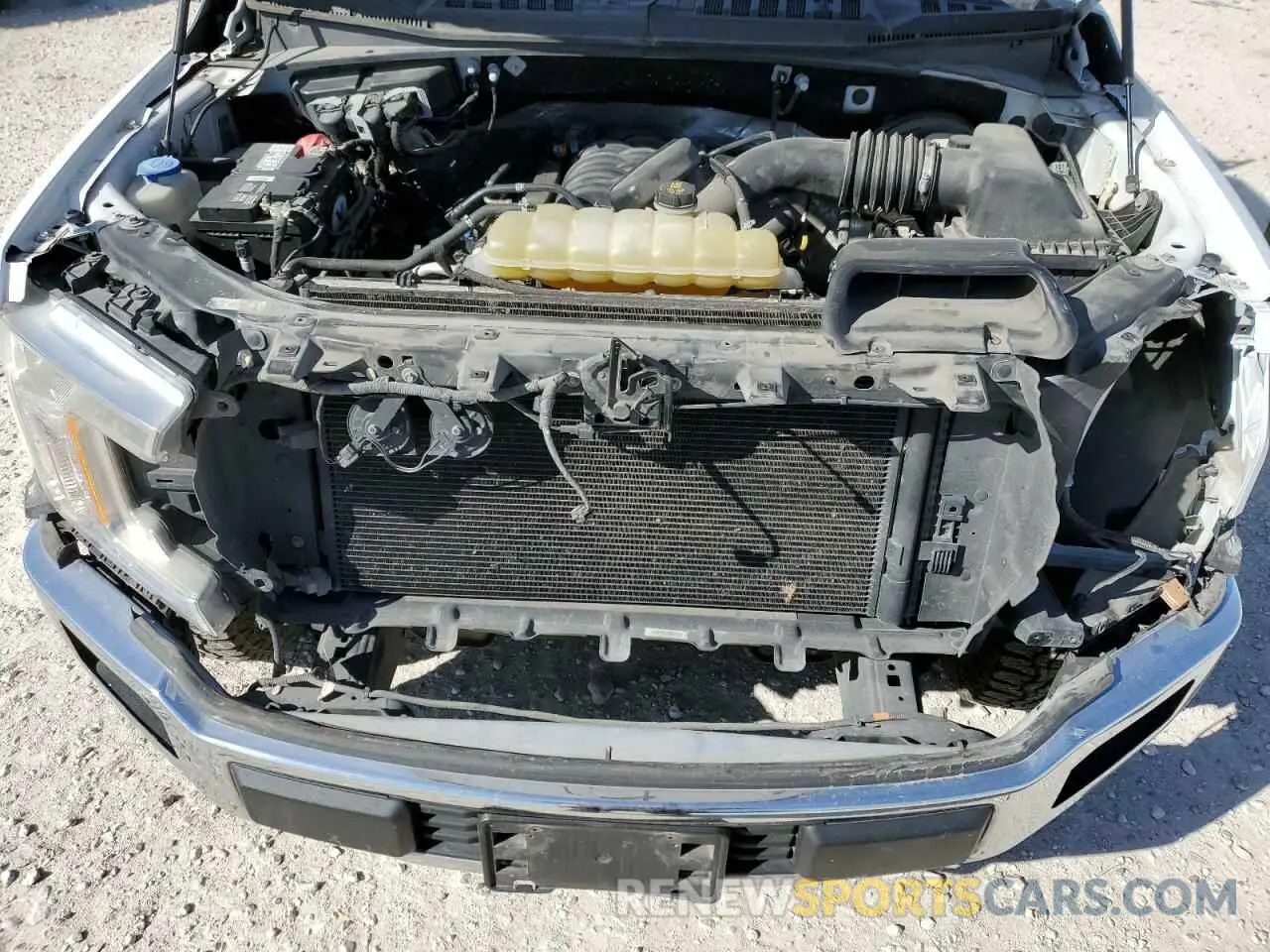 11 fotografías del automóvil dañado 1FTMF1C59KKC79369 FORD All Models 2019